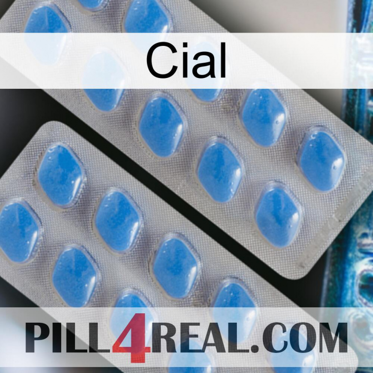Cial 23